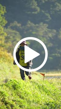 BIB:  <button type="button" onclick="openModal(26570856)" class="btn btn-primary btn-sm float-right" data-toggle="modal" data-target=".modal-high-quality">
                <i class="fa fa-download"></i> Download
                </button>